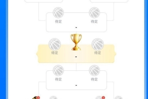 2017年nba总决赛央视第二场