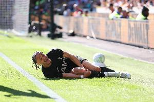 膝盖里的“承重梁”：ACL是什么？它的撕裂为何会让人抓狂到崩溃