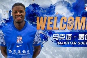 图片报：阿迪达斯为德甲提供1亿欧资金，每年最高提款额2000万